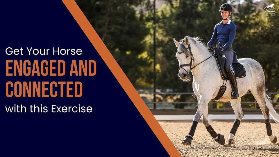 walk trot connection strides A