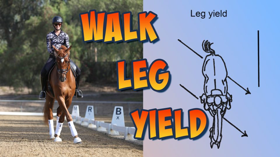 walkLegYield