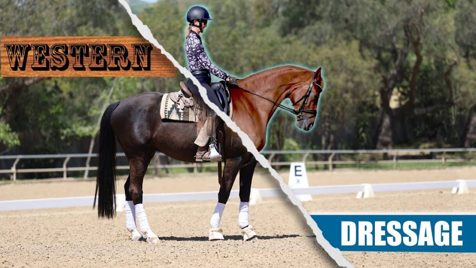 western vs dressage