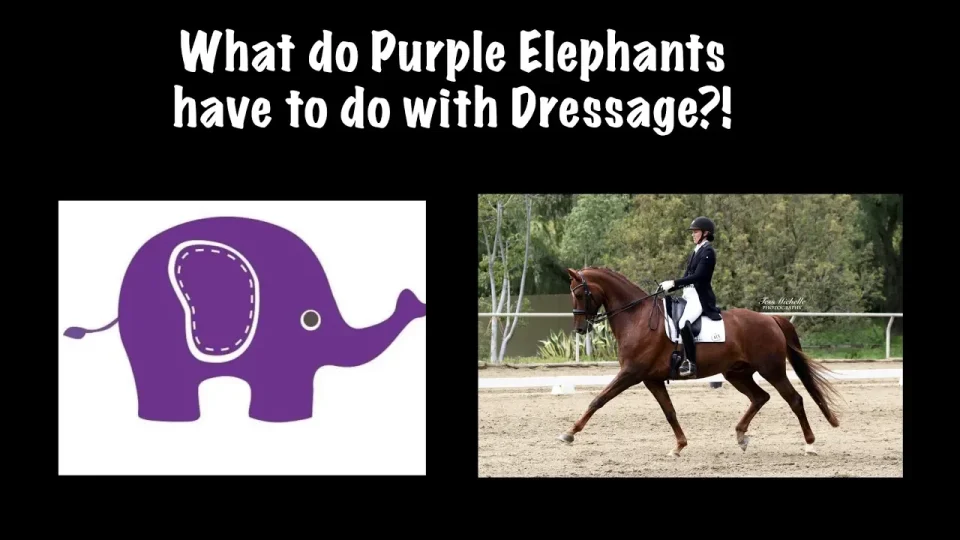 what does the purple elephant have to do with dressage