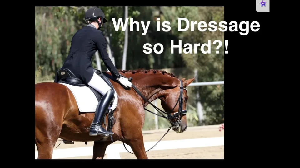 why is dressage so hard
